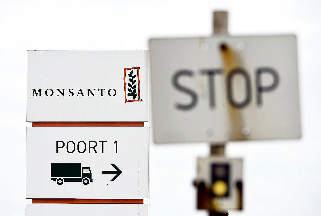 Grüne wollen Verbot einer Übernahme von Monsanto durch Bayer