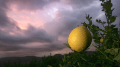 Die Natur hat uns Zitronenscheiben als Wattepads gegeben