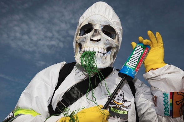 Schwerer Schlag für Monsanto: Kalifornien setzt Glyphosat auf Liste potentiell krebserregender Stoffe