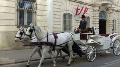 Erstmals hitzefrei für Wiener Fiakerpferde