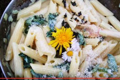 Einfach gut: Nudeln mit Brennnessel-Sahnesauce
