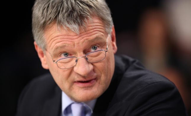 Meuthen beklagt „parteischädigende“ Äußerungen von AfD-Fraktionschef