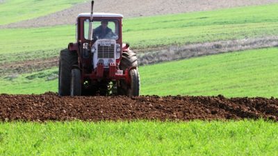 Habeck warnt vor beschleunigtem Höfesterben in Deutschland