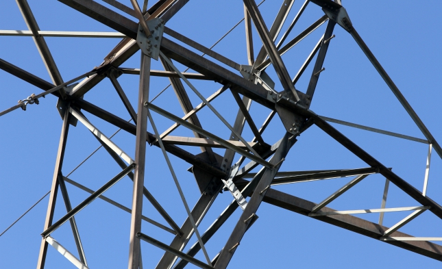 Bericht: Stromkunden zahlen Hunderte Millionen Euro zu viel an Netzentgelten