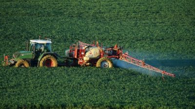 Monsanto gab Agrarökonom Geld für Glyphosat-Studien – Professor weist Einflussnahme zurück