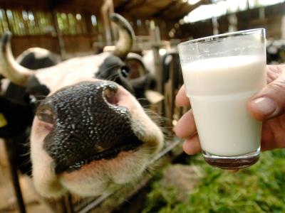 Bauern geben Russland-Sanktionen für Milchpreisverfall die Schuld