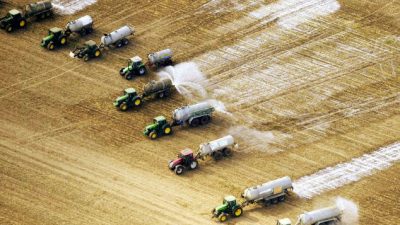 Milch 13 Cent günstiger: Kunden können nun bei Aldi&Co richtig absahnen