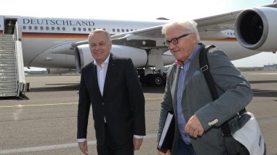 Steinmeier und Ayrault zu Besuch bei Truppen in Mali