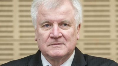 Seehofer: Union sollte AfD „Zukunftsvision“ entgegensetzen