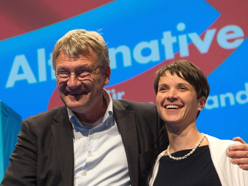 Chef der Bayern-AfD verlangt Ende des parteiinternen Führungsstreits