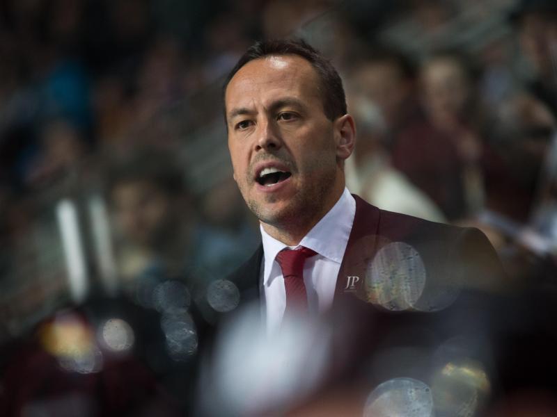 Eishockey-Coach Sturm: Noch ist nichts erreicht