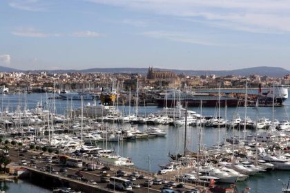 Blauhai vor Mallorca getötet