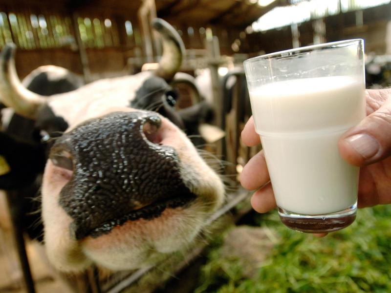 Milchpreis für Bauern fällt erstmals unter 20 Cent