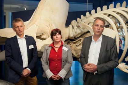 Verendete Pottwale in der Nordsee hatten viel Müll im Magen