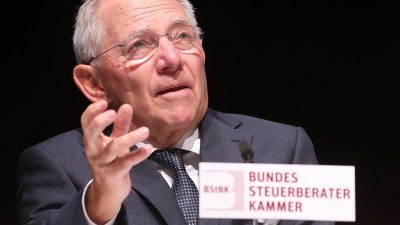 Schäuble warnt vor übertriebener Transparenz bei Steuerdaten