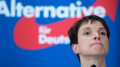 Umfrage: AfD jetzt auch in Brandenburg auf 20 Prozent