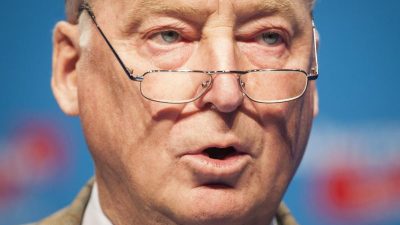 Gauland im Sturm der Kritik: „Bin natürlich kein Rassist“