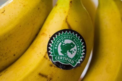 „Süße Früchte, bittere Wahrheiten“: Oxfam klagt über menschenunwürdigen Anbau von Supermarktfrüchten