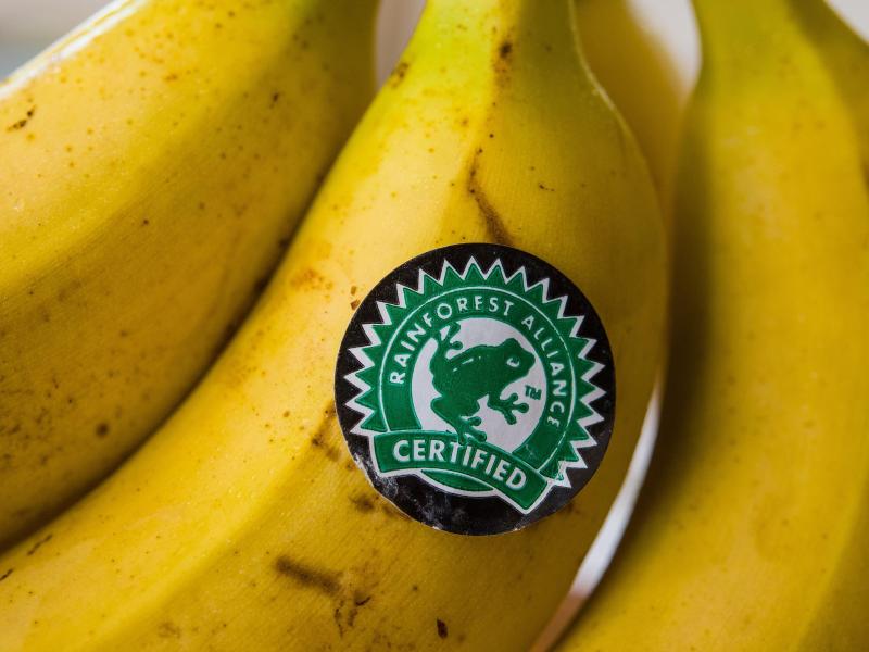 „Süße Früchte, bittere Wahrheiten“: Oxfam klagt über menschenunwürdigen Anbau von Supermarktfrüchten