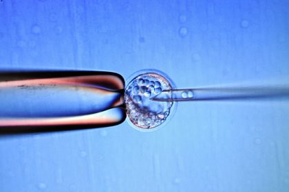 Gen-Forscher testen „Baby aus drei Eltern“ erfolgreich