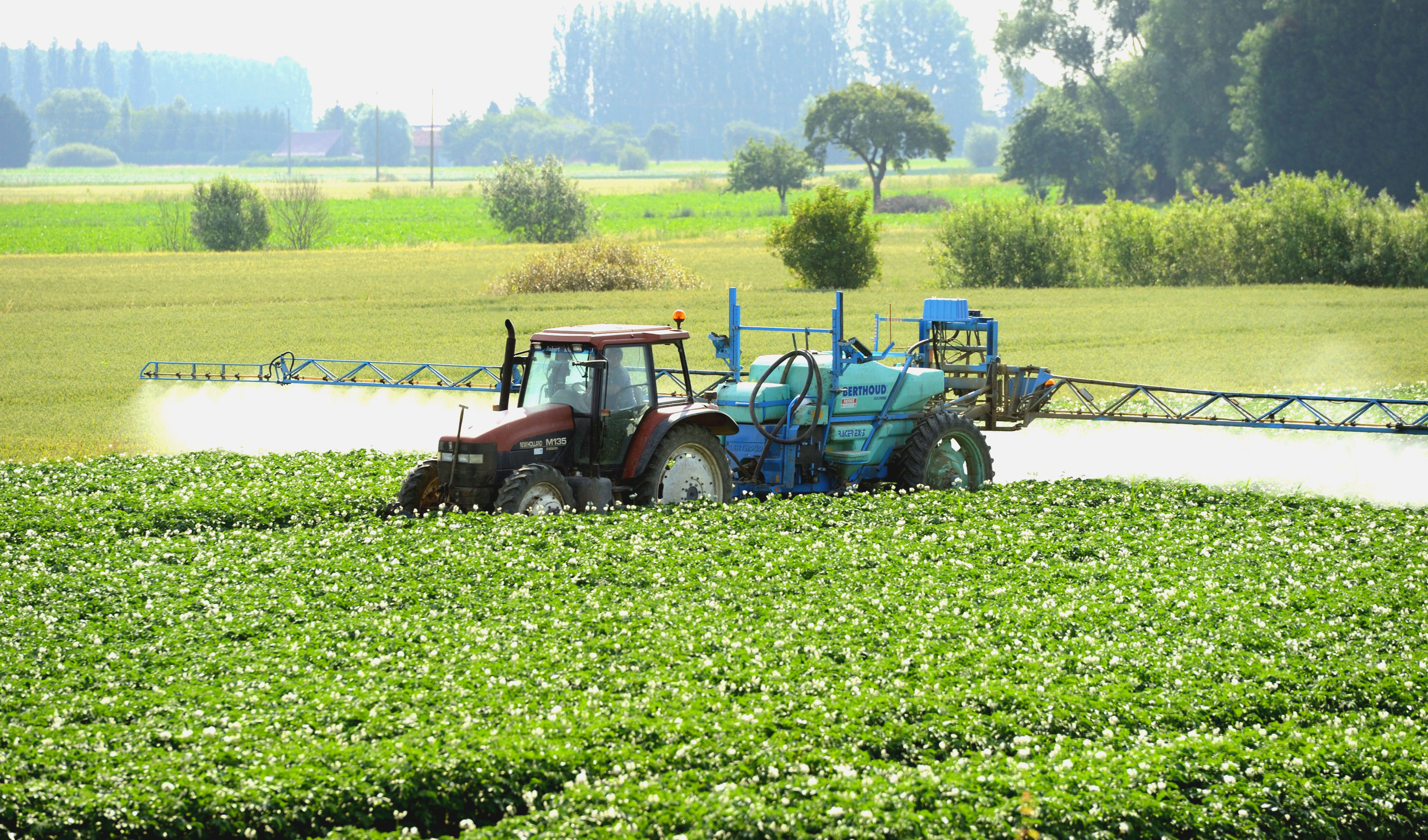 Pestizidbelastung durch Windabdrift: Bio-Unternehmer fordern wirksamen Schutz