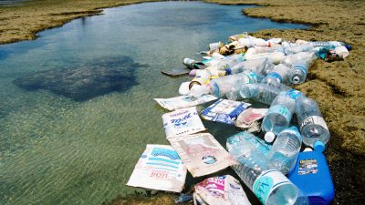 Eine Billion Plastiksäcke pro Jahr – Kleine Raupe Nimmersatt als Plastikmüll-Schlucker