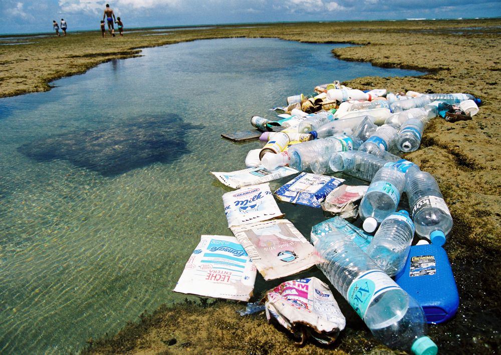 Eine Billion Plastiksäcke pro Jahr – Kleine Raupe Nimmersatt als Plastikmüll-Schlucker