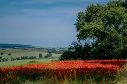 Temperaturen fallen – im Süden unwetterartiger Regen nicht ausgeschlossen