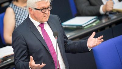 Umfrage: Mehrheit für Steinmeier als Bundespräsidenten