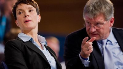 Petry-Kritiker wollen AfD-Chefin nicht als Spitzenkandidatin