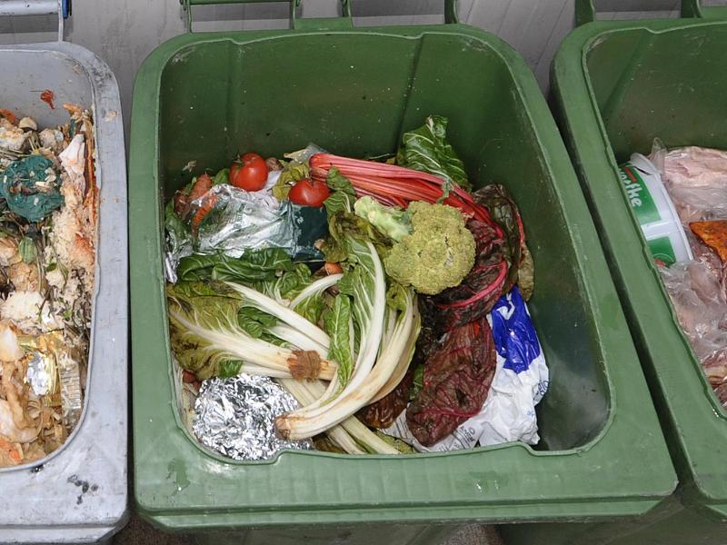 Jährlich landen elf Millionen Tonnen Nahrungsmittel im Müll: Schmidt lehnt Gesetz gegen Lebensmittelverschwendung ab