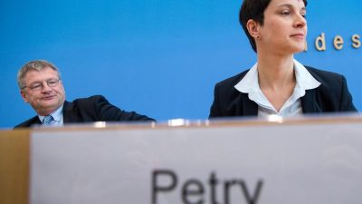 Antisemitismus-Zwist: Streit zwischen Petry und Meuthen