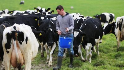 Bauern fürchten weitere Einbußen: „Wende nicht in Sicht“