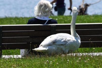 Mönchengladbach: „Kinder-Bande“ überfiel Seniorinnen am Gero-Park – Intensivtäter (11) aus „Kurve kriegen“-Programm