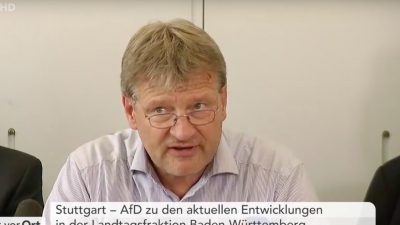 Spaltung der AfD in Stuttgart: Meuthen und 12 weitere verlassen Fraktion wegen Gedeon