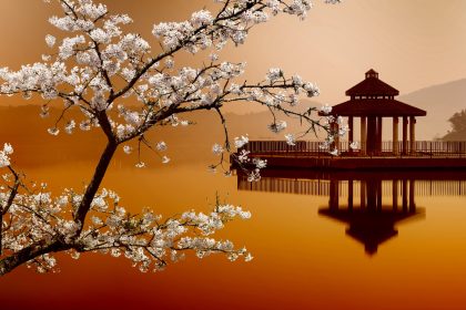 Chinesische Medizin: 4 Tipps wie Sie vorschnelles Altern vermeiden können