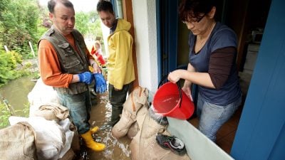 Gutachter bestätigen: Mehr Biolandbau schützt vor Hochwasser