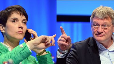 Kampf der Parteichefs: „Wir sind die AfD“ (Meuthen) – Rest-AfD ist wahre AfD (Petry)