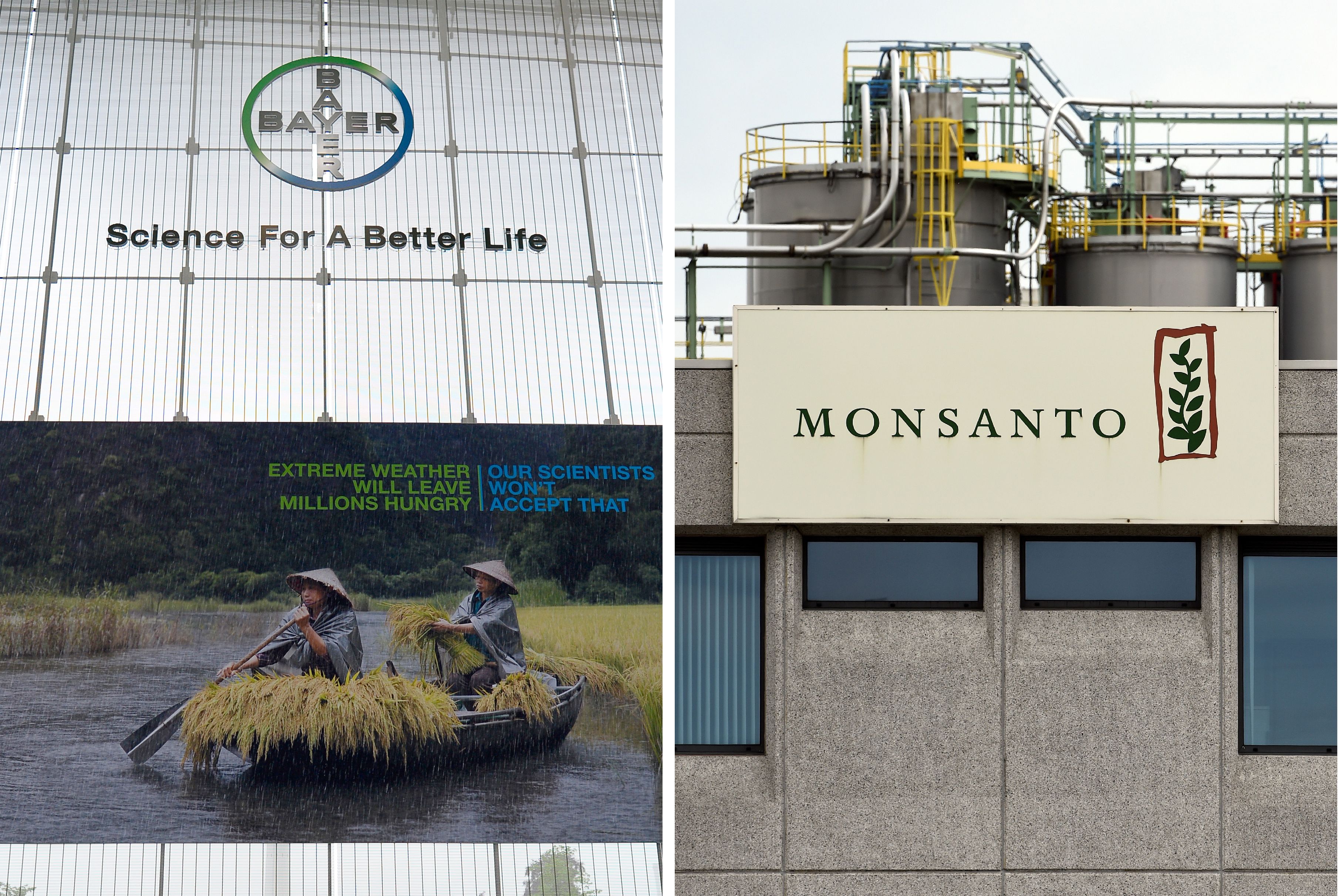 Vorsorgeprinzip ausgehebelt: EU genehmigt drei Sorten Gen-Soja von Monsanto und Bayer