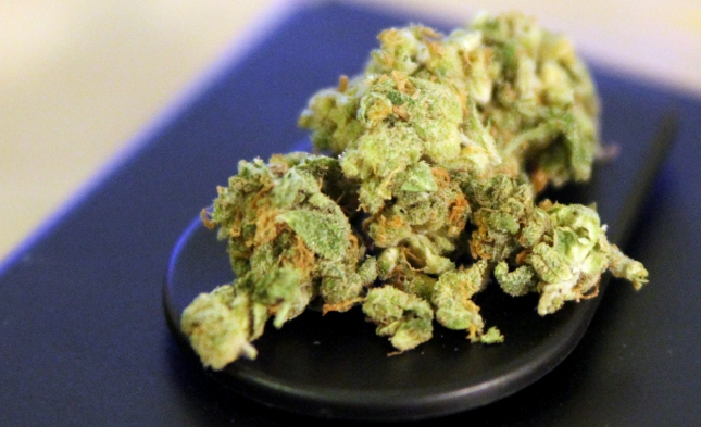 Zahl der Patienten mit Cannabis-Erlaubnis steigt auf Rekord