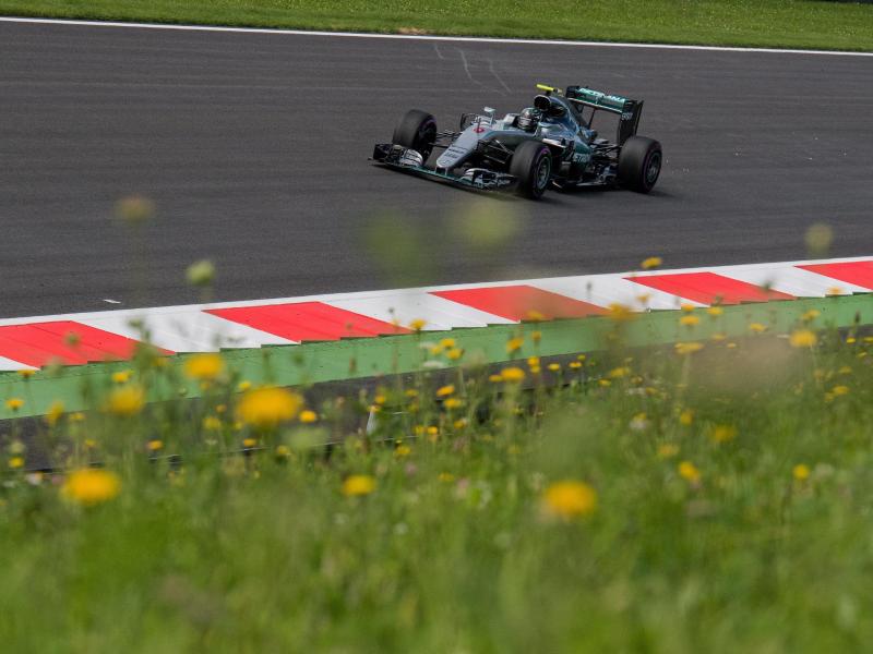 Rosberg beherrscht Training in Österreich
