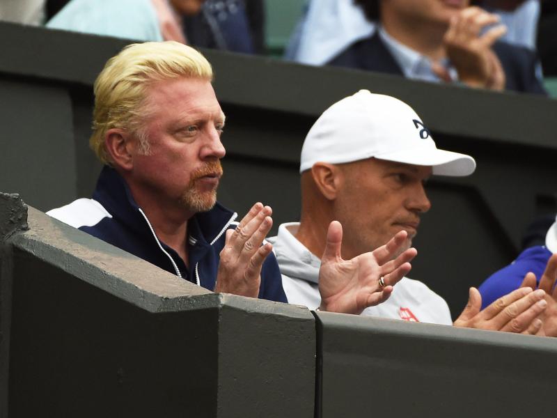 Becker bangt mit Djokovic: Wimbledon-Aus droht