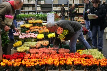 Nach Unwettern: Preise für Blumen könnten zulegen