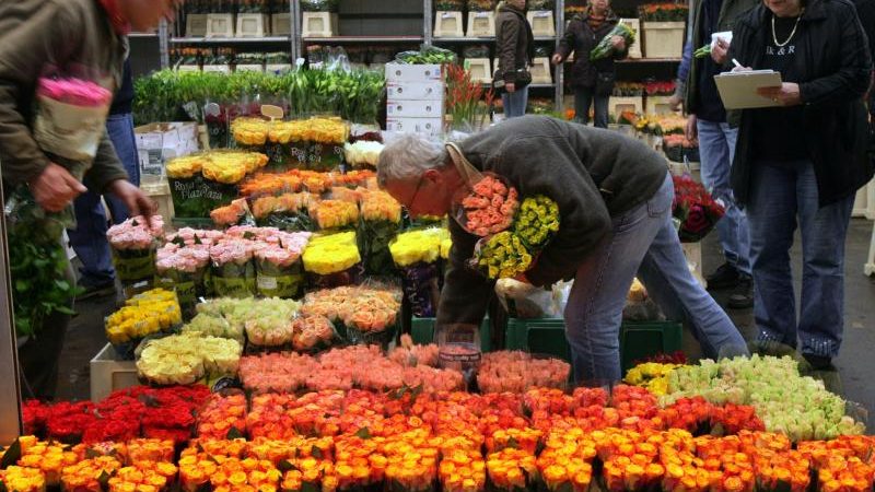 Nach Unwettern: Preise für Blumen könnten zulegen