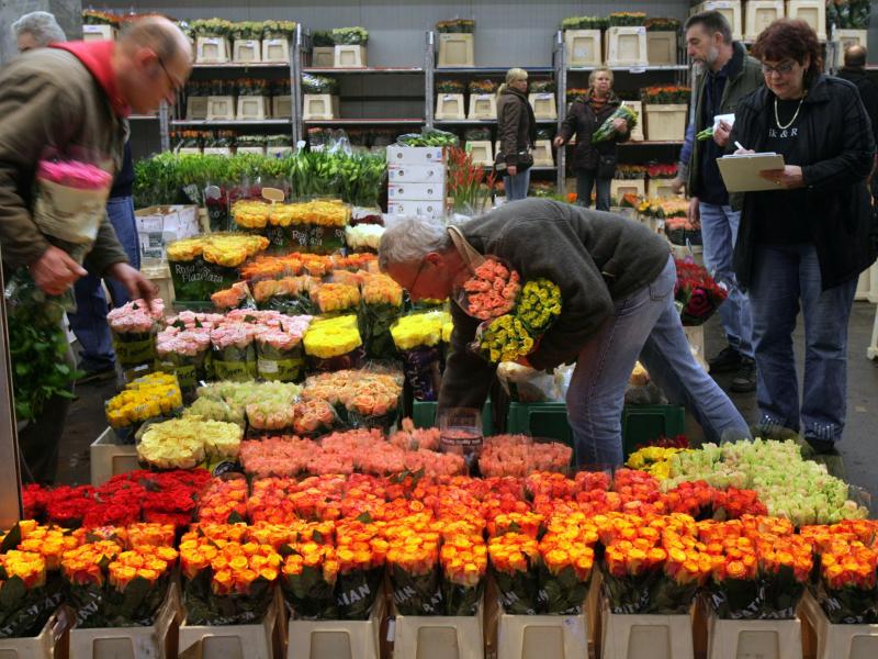 Nach Unwettern: Preise für Blumen könnten zulegen