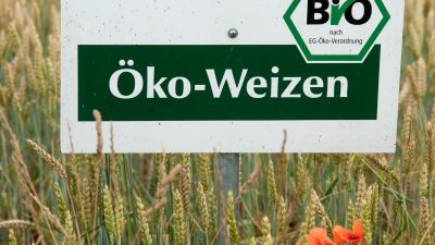 Bio-Anteil in deutscher Landwirtschaft nimmt weiter zu