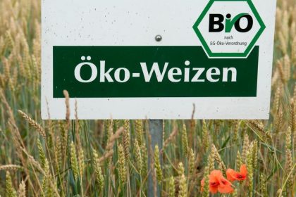 Bio-Anteil in deutscher Landwirtschaft nimmt weiter zu