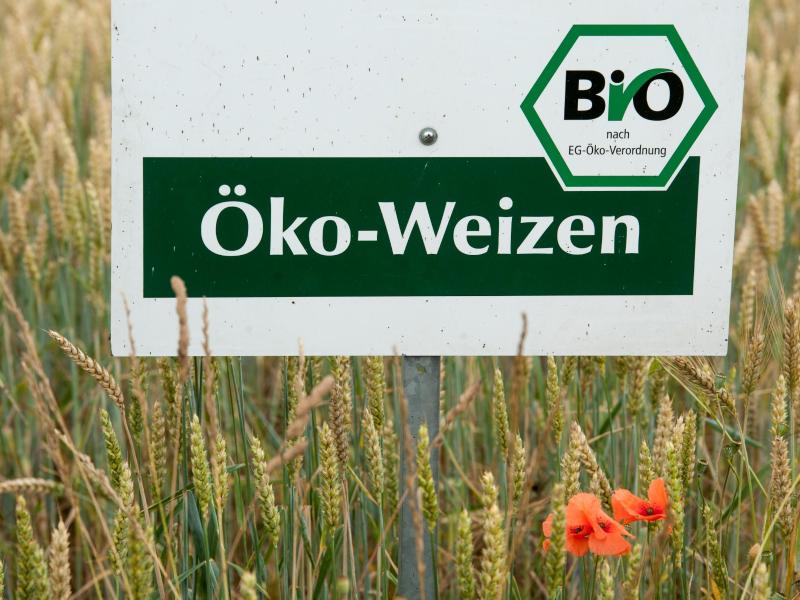 Bio-Anteil in deutscher Landwirtschaft nimmt weiter zu