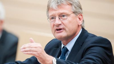 AfD-Bundesvorsitzender Meuthen geht ins Europaparlament