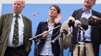 AfD-Bundesvorstand tagt: Krisenmanagement ist nötig